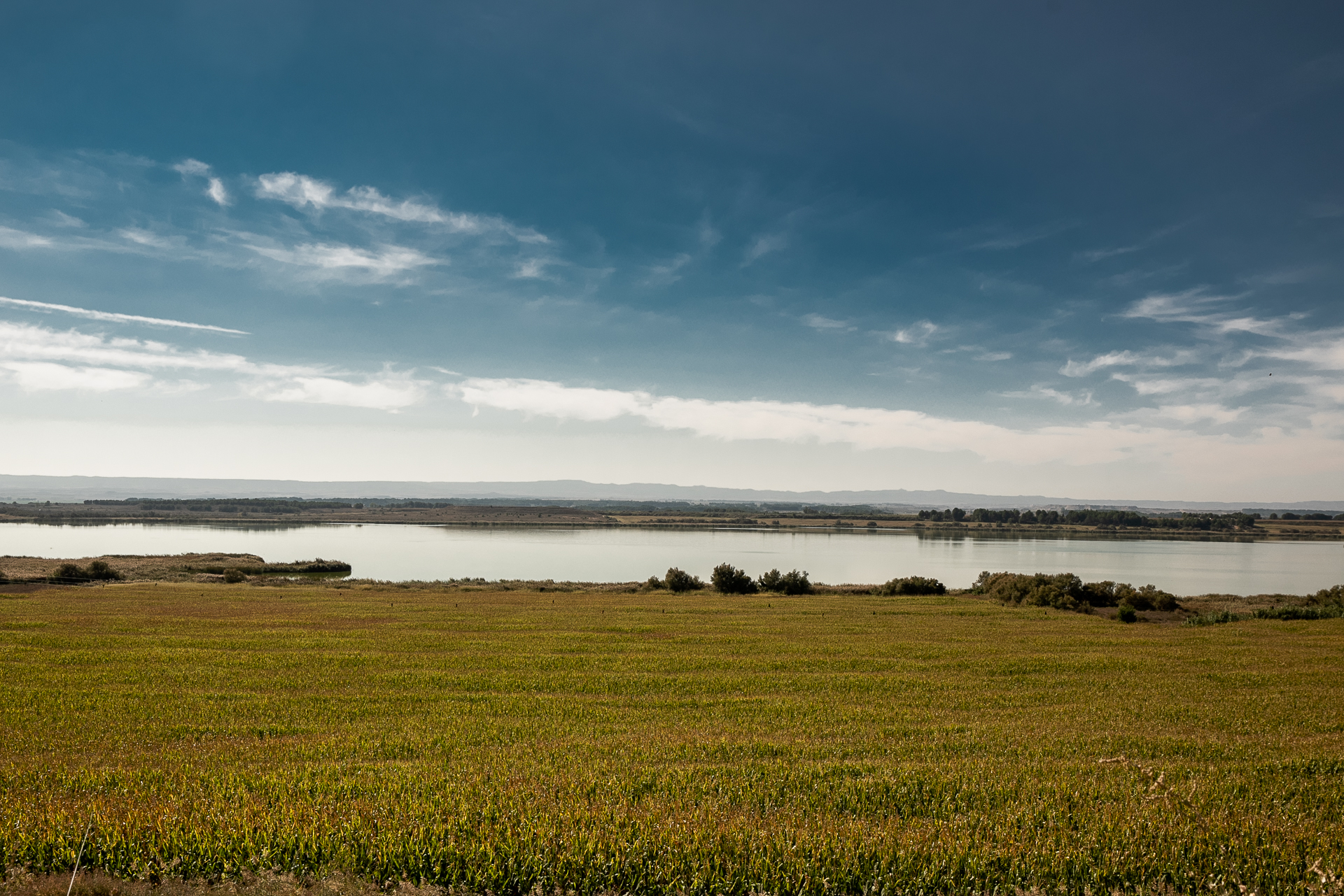 Imagen Ruta Laguna Sariñena Laguna de la Playa