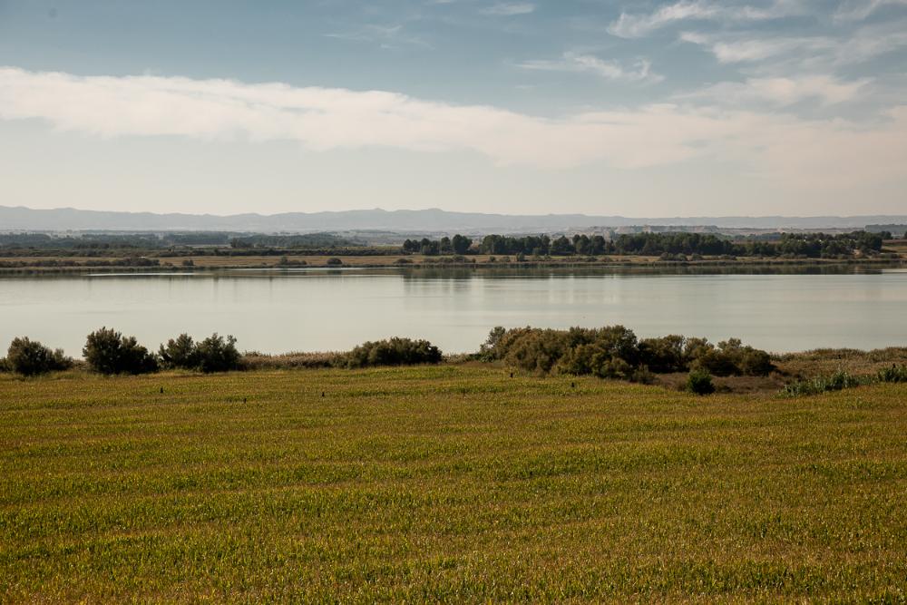 Vista de la Laguna de Sariñena
