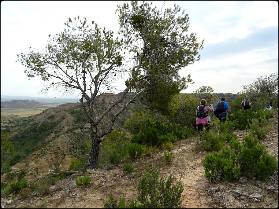 Imagen Ruta de Pallaruelo