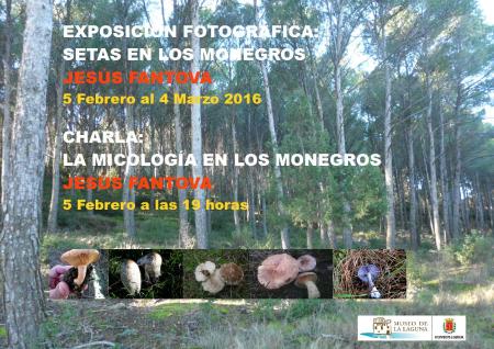 Imagen Exposición y charla &quot;La micología en los Monegros&quot;...