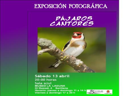Imagen Exposición fotográfica de pájaros cantores