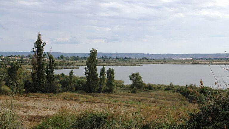 Imagen La Laguna de Sariñena ha sido incluida en un gran proyecto estatal para recuperar humedales