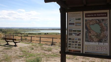 Imagen La Laguna de Sariñena invita a descubrir su riqueza natural con rutas...
