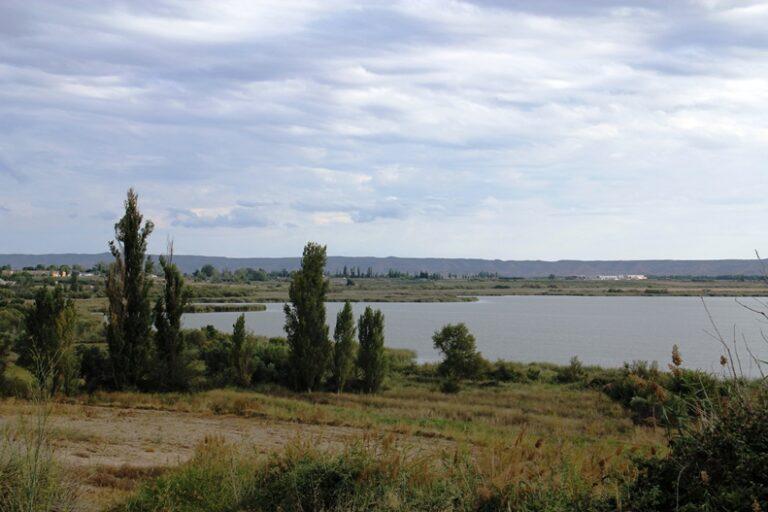 Imagen La Laguna de Sariñena invita a descubrir su biodiversidad con una nueva programación de otoño