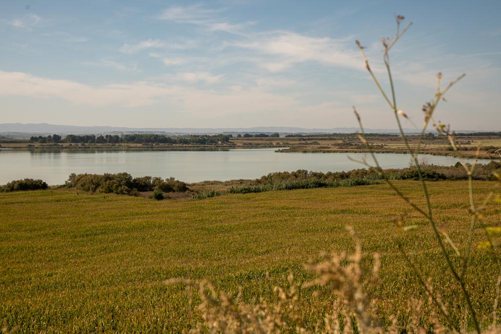 Imagen Laguna de Sariñena / Laguna de la Playa