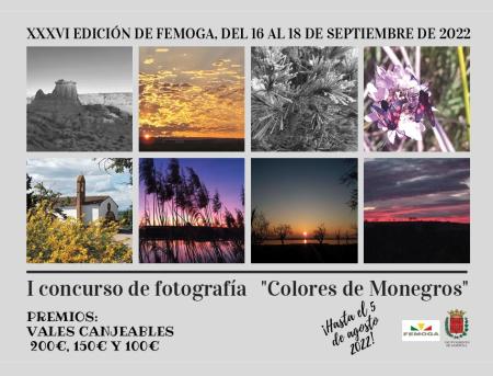 Imagen 1º Concurso de Fotografía "Colores de Monegros "